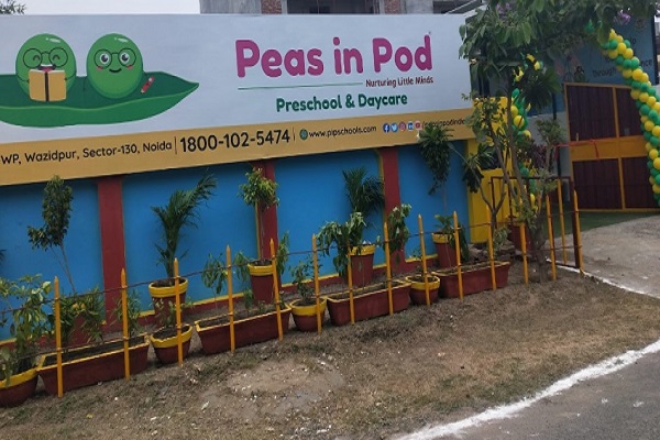 Peas in Pod preschool Sector 117 Noida